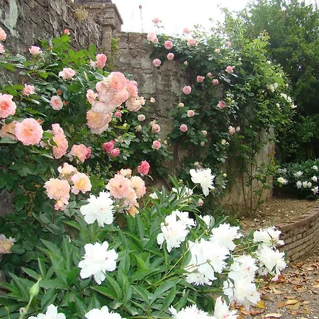 Frühstückspension Frances' Relais