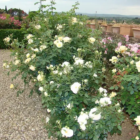 Bed & Breakfast Frances' Relais Siena