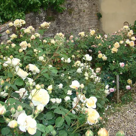 Bed & Breakfast Frances' Relais Siena